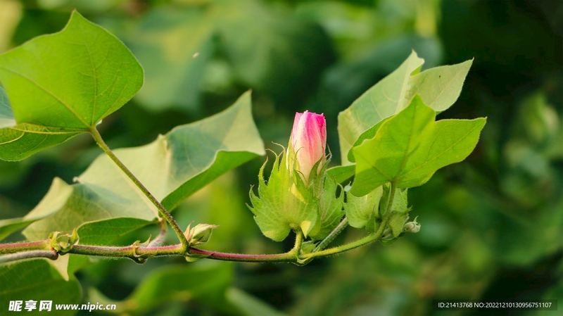 夫妻感情变淡了怎么办？过来人告诉你真正有用的方法